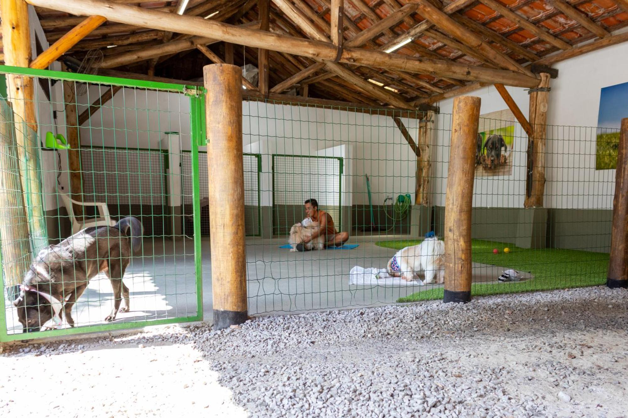 Pousada Recanto Das Palmeiras Ubatuba Exterior photo